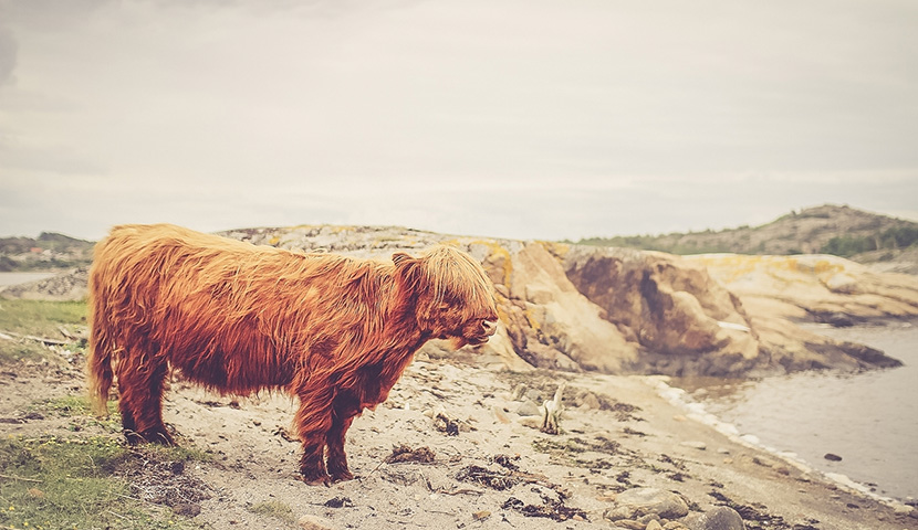 网页在线DDOS压力测试
