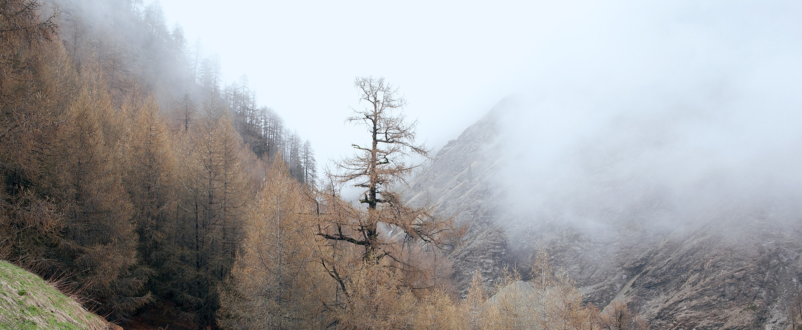 无需设置直用的手机版ddos攻击器